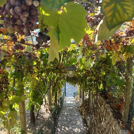 Penzion Gli Amici Di Carla La Spezia