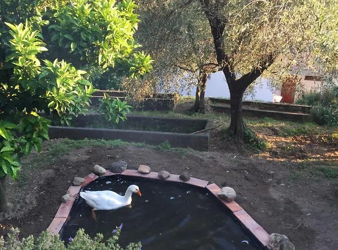 Gli Amici Di Carla Πανσιόν Λα Σπέτσια