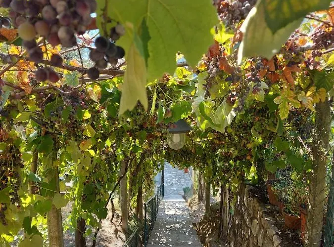 Πανσιόν Gli Amici Di Carla Λα Σπέτσια