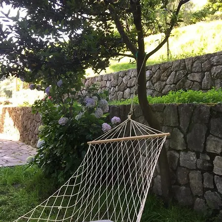 Gli Amici Di Carla Pensionat