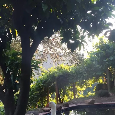 Pensionat Gli Amici Di Carla 3*