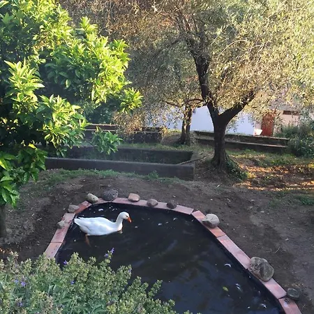 Gli Amici Di Carla Pensionat La Spezia