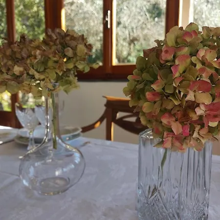 Гостьовий будинок Gli Amici Di Carla 3*