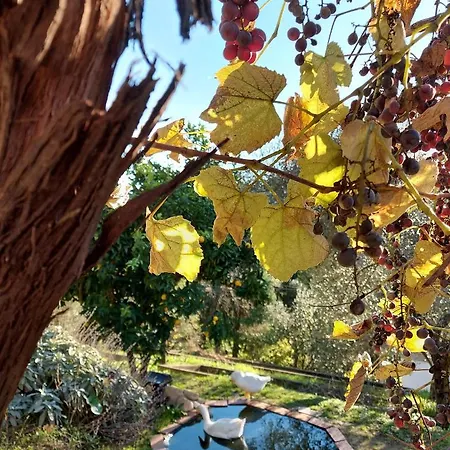 Gli Amici Di Carla لا سبيتسْيا