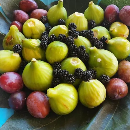 Gli Amici Di Carla Pensionat 3*