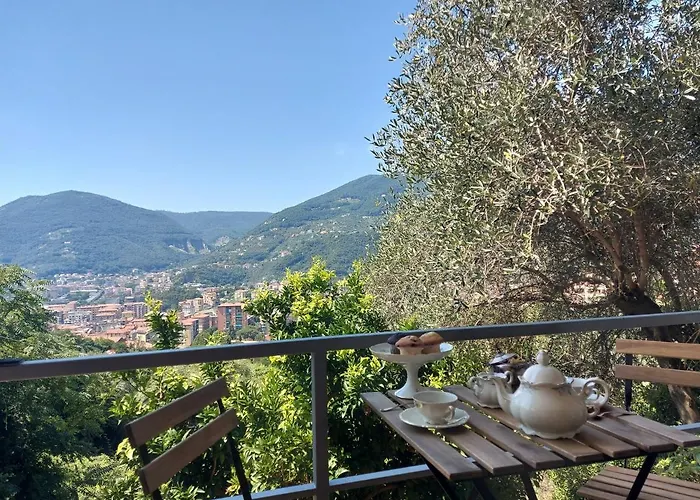 Gli Amici Di Carla 3*