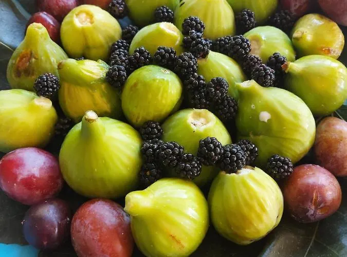 Gli Amici Di Carla Gasthuis 3*